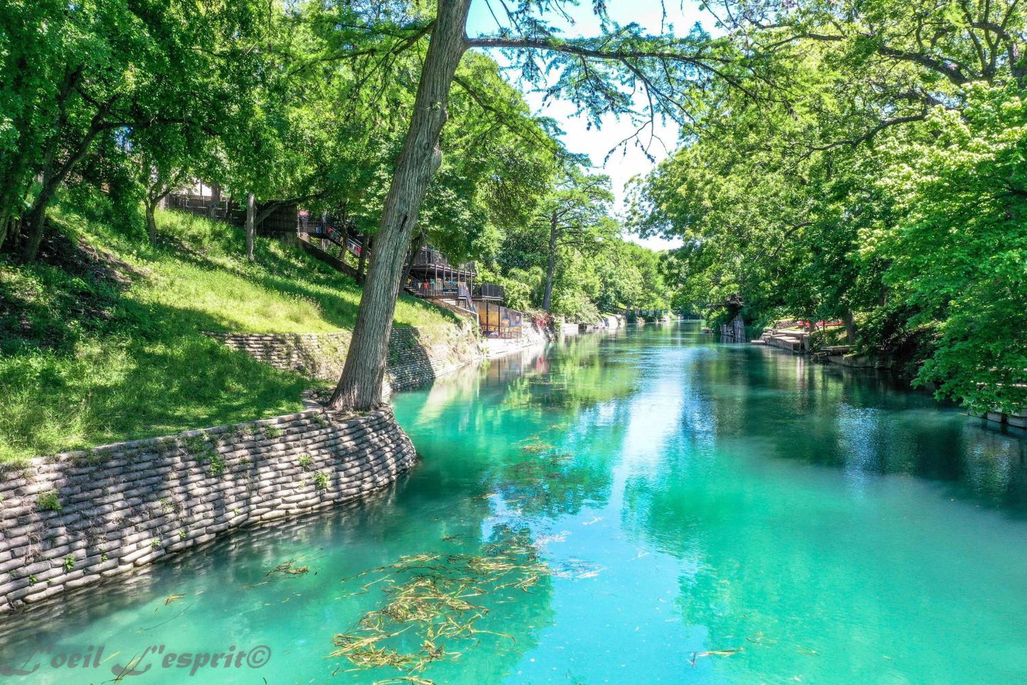 The Iron Cactus Condo On The Comal Cw C102 New Braunfels Zewnętrze zdjęcie